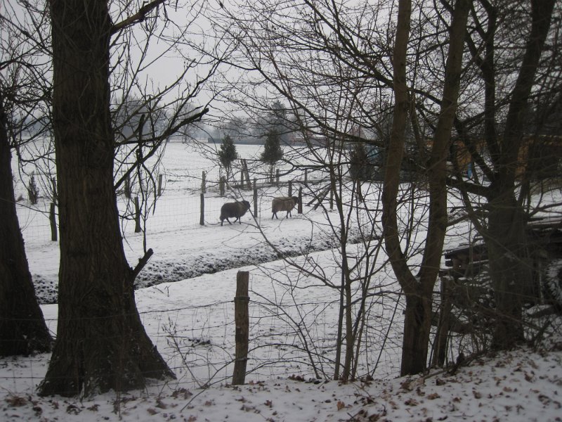 CTF Kattenberg 053